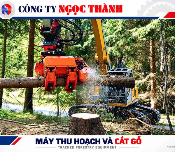 Xe thu hoạch gỗ đa năng – Kẹp cây, tuốt cành và cắt khúc