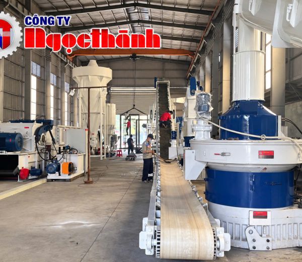 Máy ép viên nén thức ăn chăn nuôi 